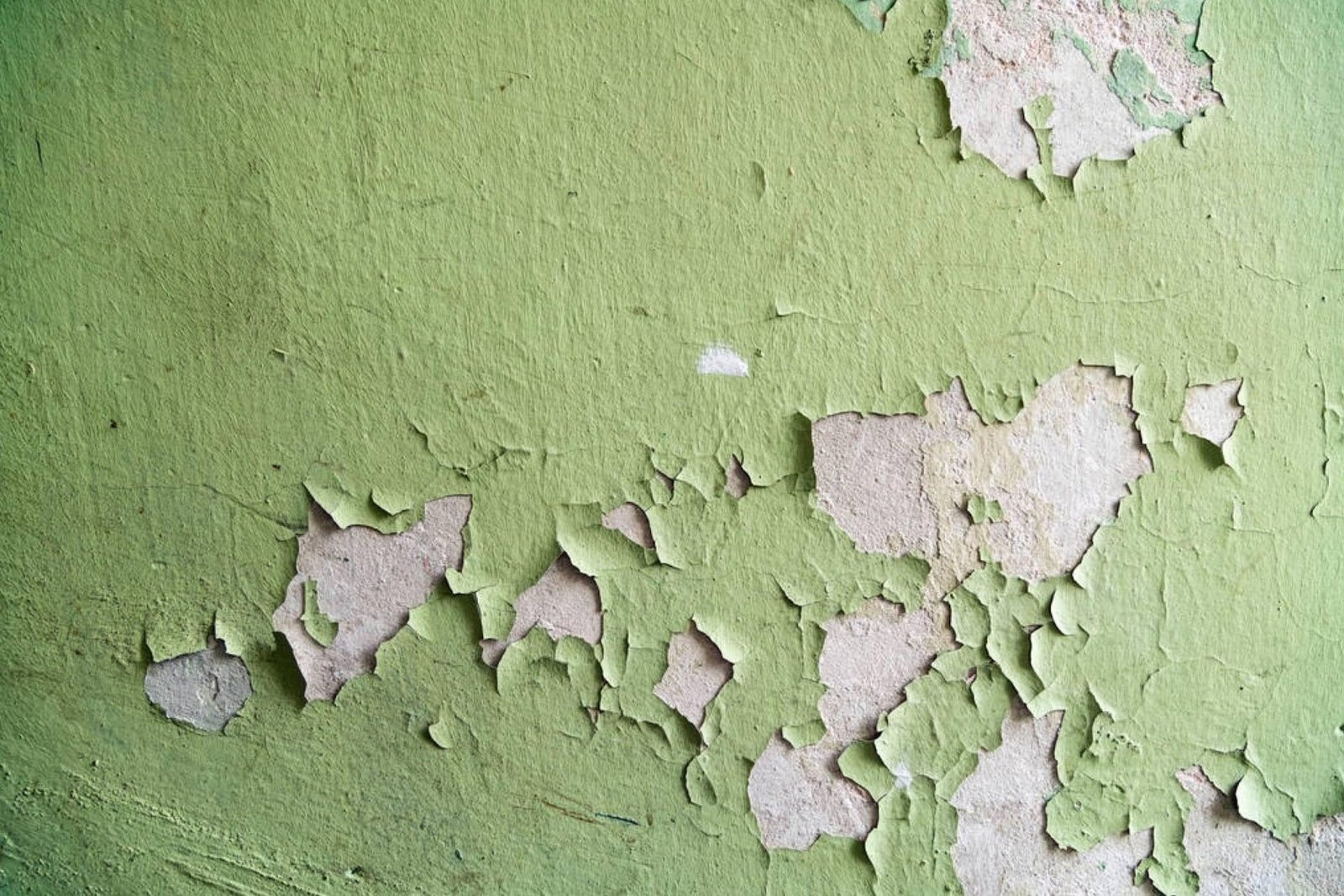 How to Fix Paint Chips on Wall